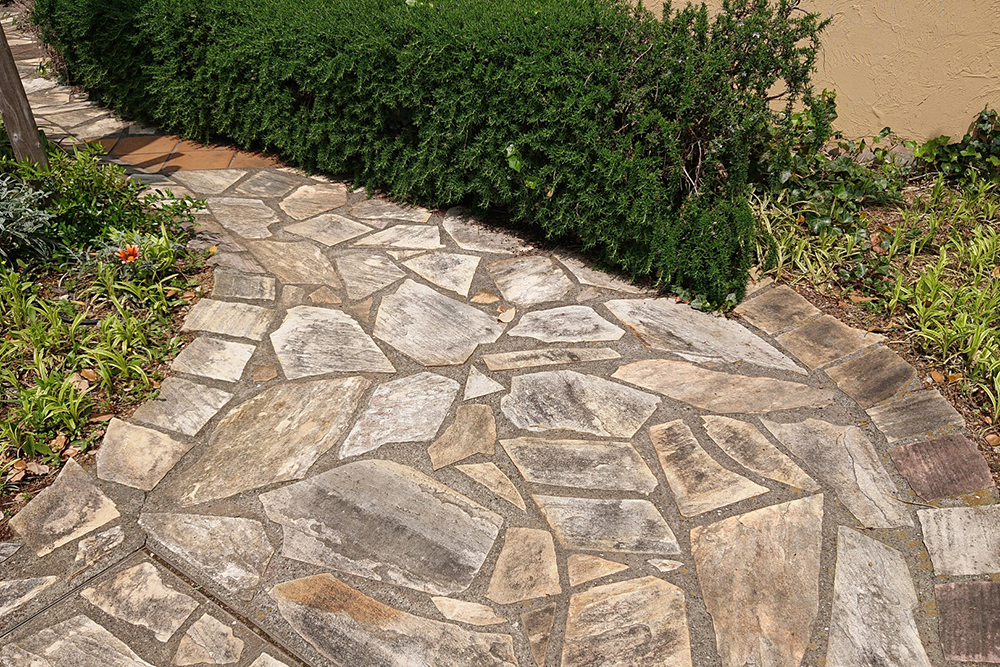 玄関アプローチ